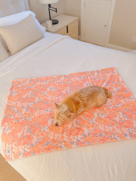 Blanket: Notting Hill Buttercup