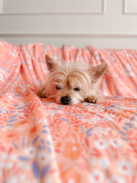 Blanket: Notting Hill Buttercup