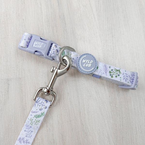 Adjustable Dog Collar: Chiswick Thistle