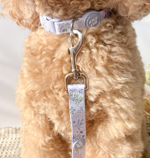 Adjustable Dog Collar: Chiswick Thistle