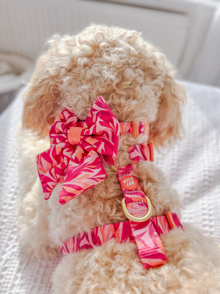 Dog Sailor Bow Tie: Kew Honeysuckle