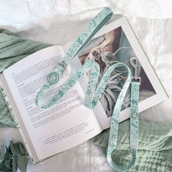 Dog Lead: Chiswick Pistachio