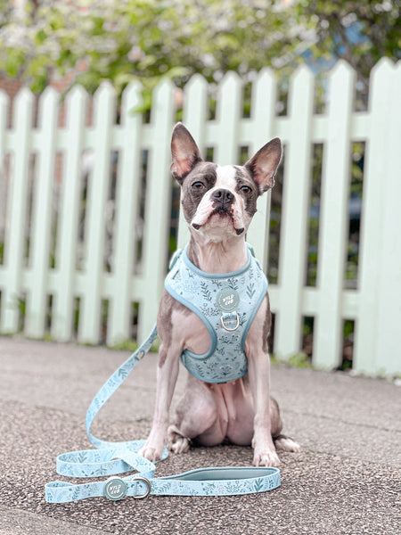 Dog Lead: Chiswick Pistachio