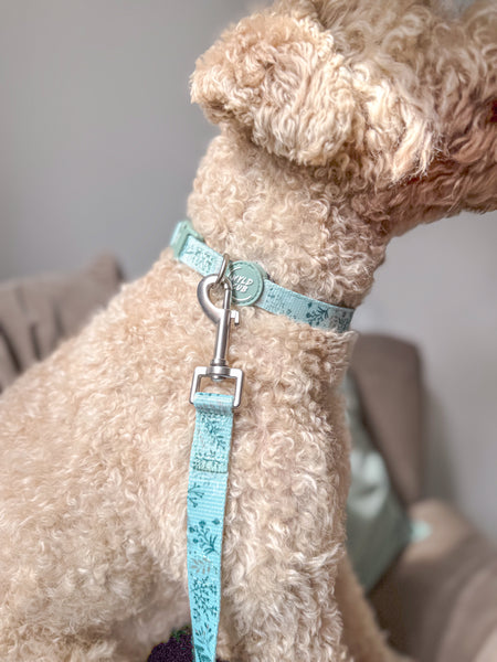 Dog Lead: Chiswick Pistachio