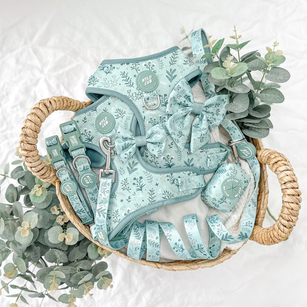 Dog Lead: Chiswick Pistachio