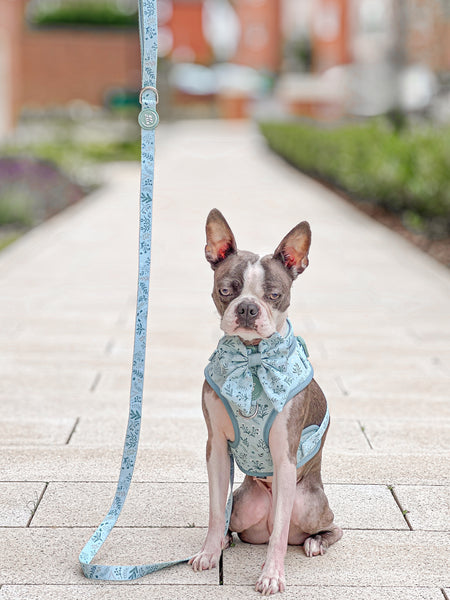 Dog Lead: Chiswick Pistachio