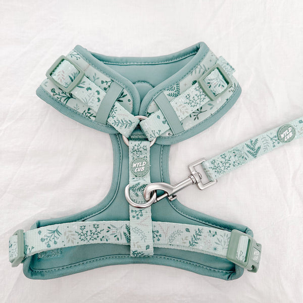 Dog Lead: Chiswick Pistachio