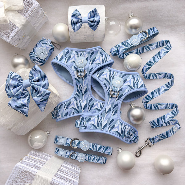 Dog Bow Tie: Kew Celeste