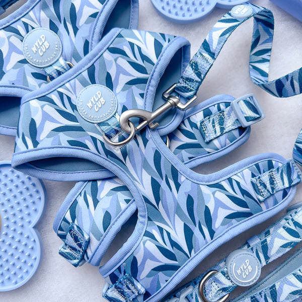 Dog Lead: Kew Celeste