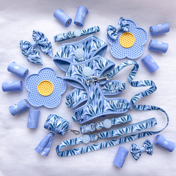 Dog Lead: Kew Celeste