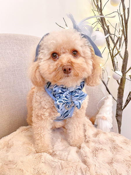 Dog Sailor Bow Tie: Kew Celeste