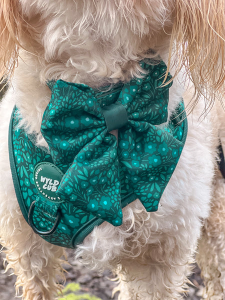 Dog Sailor Bow Tie: Notting Hill Gooseberry