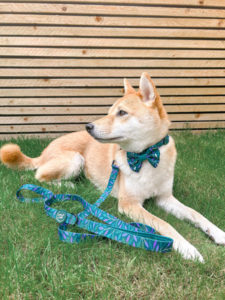 Dog Lead: Hampstead Evergreen