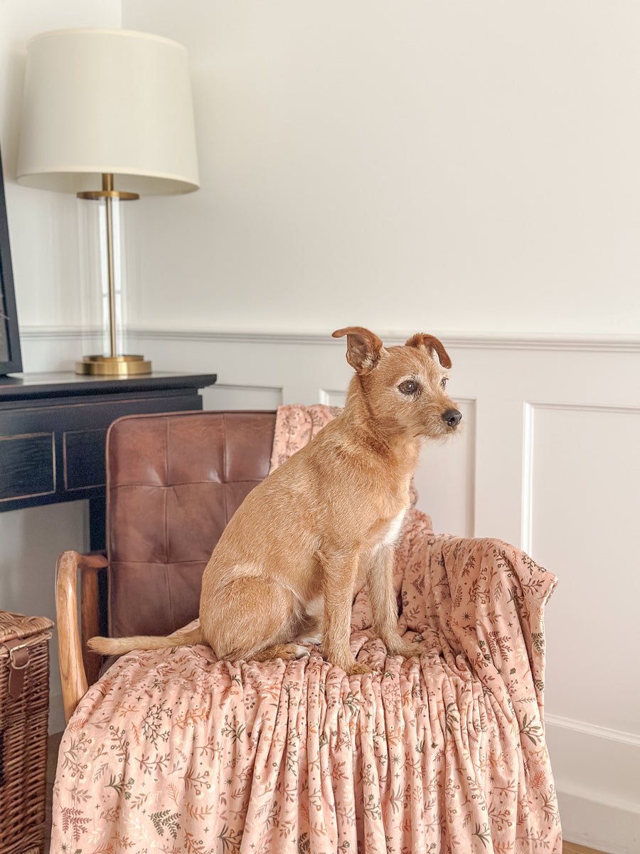 Blanket: Chiswick Nutmeg – WYLD CUB ®
