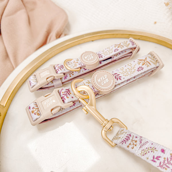Adjustable Dog Collar: Chiswick Oyster