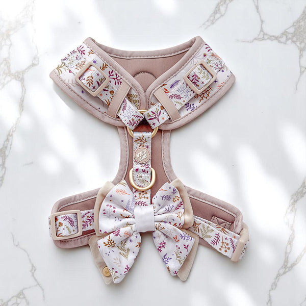 Dog Butterfly Bow Tie: Chiswick Oyster