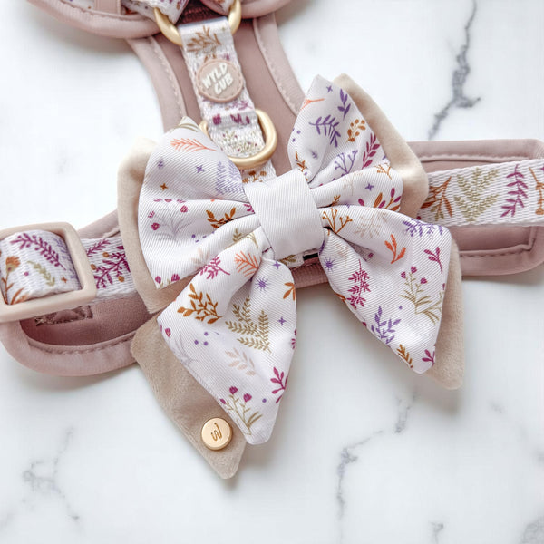Dog Butterfly Bow Tie: Chiswick Oyster