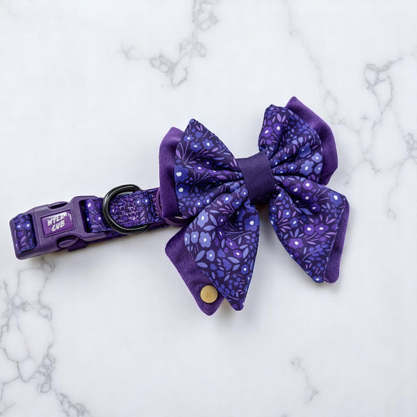 Dog Butterfly Bow Tie: Notting Hill Blackberry