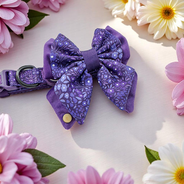Dog Butterfly Bow Tie: Notting Hill Blackberry
