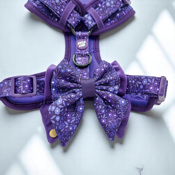 Dog Butterfly Bow Tie: Notting Hill Blackberry
