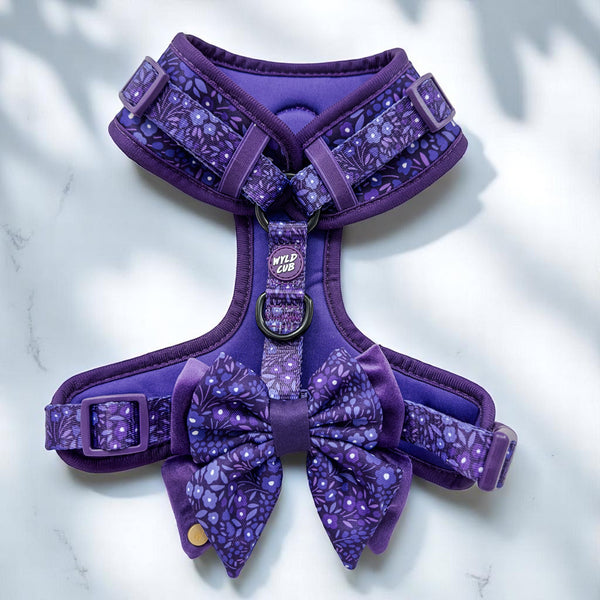 Dog Butterfly Bow Tie: Notting Hill Blackberry