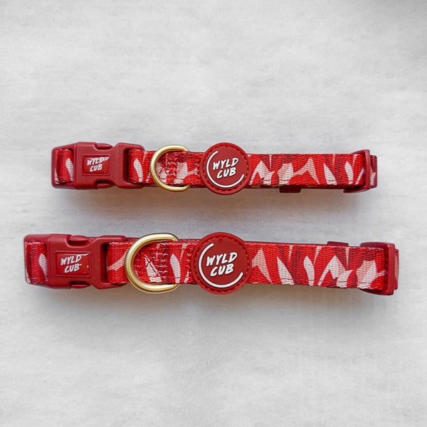 Adjustable Dog Collar: Kew Acer