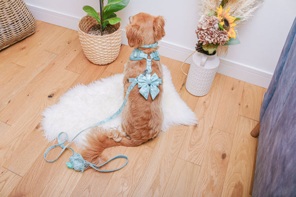 Dog Lead: Chiswick Pistachio