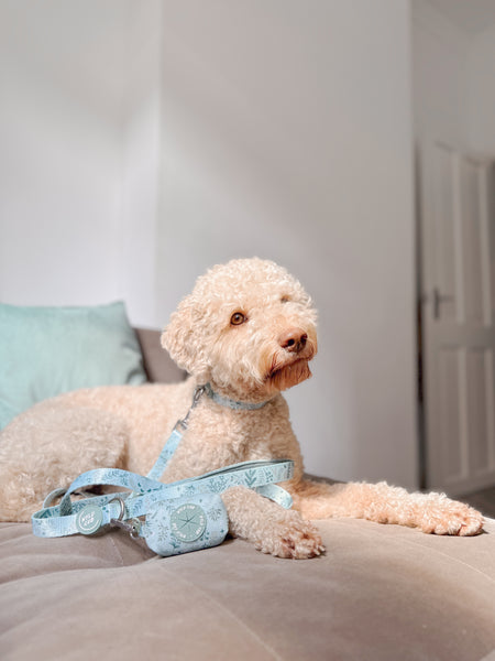 Dog Lead: Chiswick Pistachio