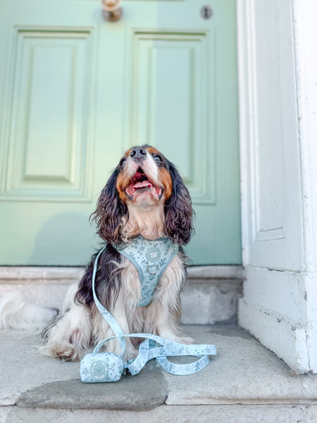 Dog Lead: Chiswick Pistachio