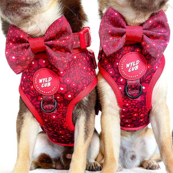 Dog Bow Tie: Notting Hill Mulberry