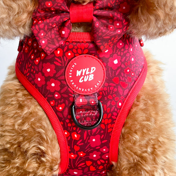 Dog Bow Tie: Notting Hill Mulberry