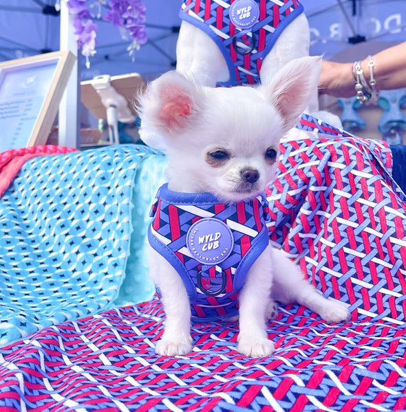 Adjustable Dog Harness: Knightsbridge Violet