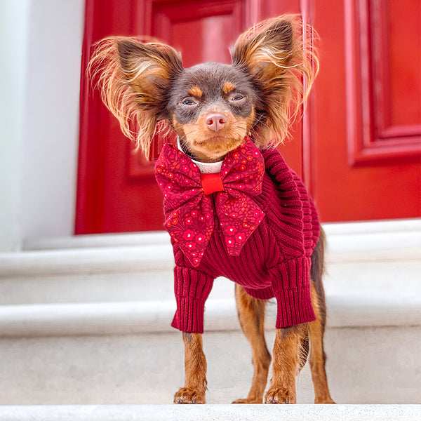 Dog Sailor Bow Tie: Notting Hill Mulberry