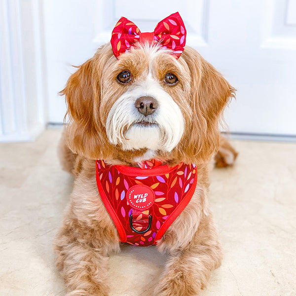 Dog Bow Tie: Hampstead Fireside