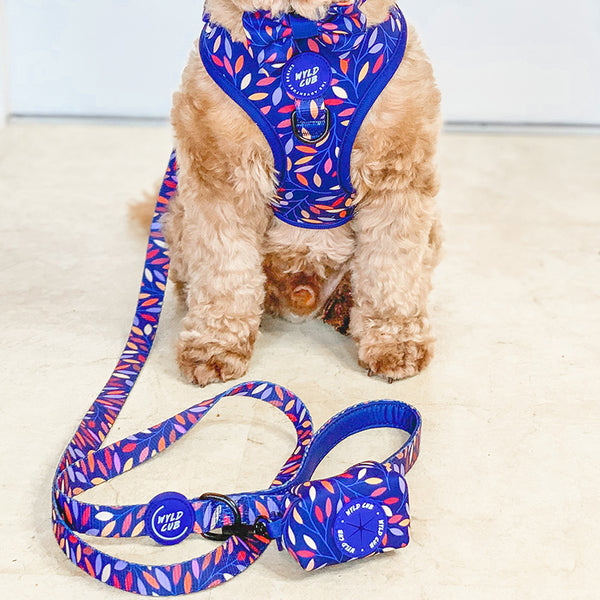 Dog Lead: Hampstead Moonlight