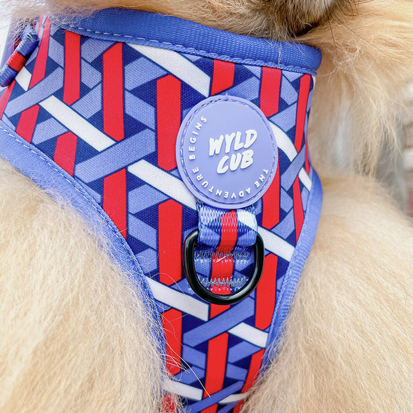 Adjustable Dog Harness: Knightsbridge Violet