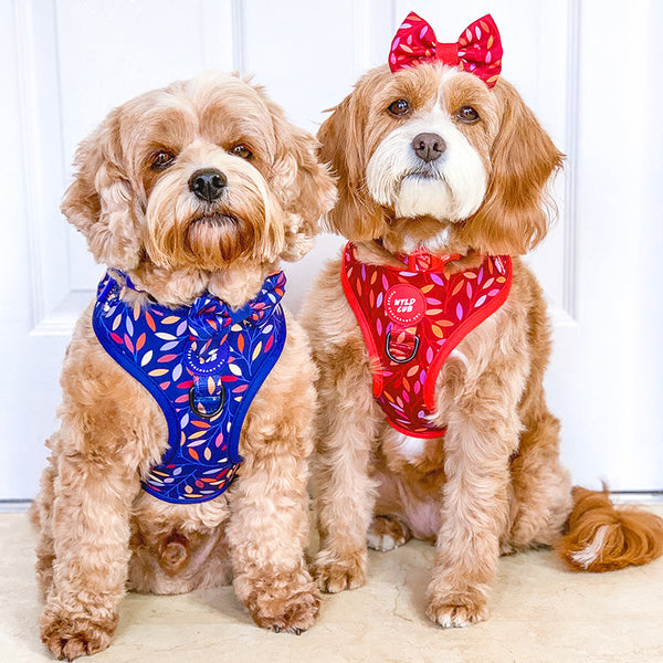 Dog Bow Tie: Hampstead Fireside