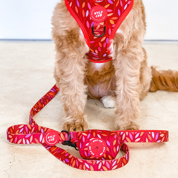 Dog Lead: Hampstead Fireside