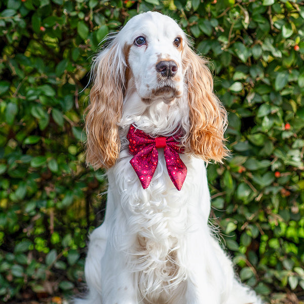 Dog Sailor Bow Tie: Notting Hill Mulberry