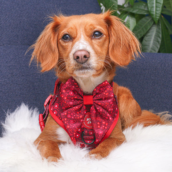 Dog Sailor Bow Tie: Notting Hill Mulberry