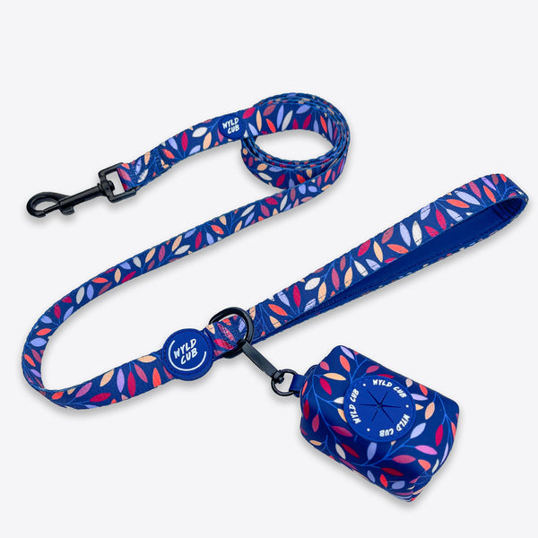 Dog Lead: Hampstead Moonlight