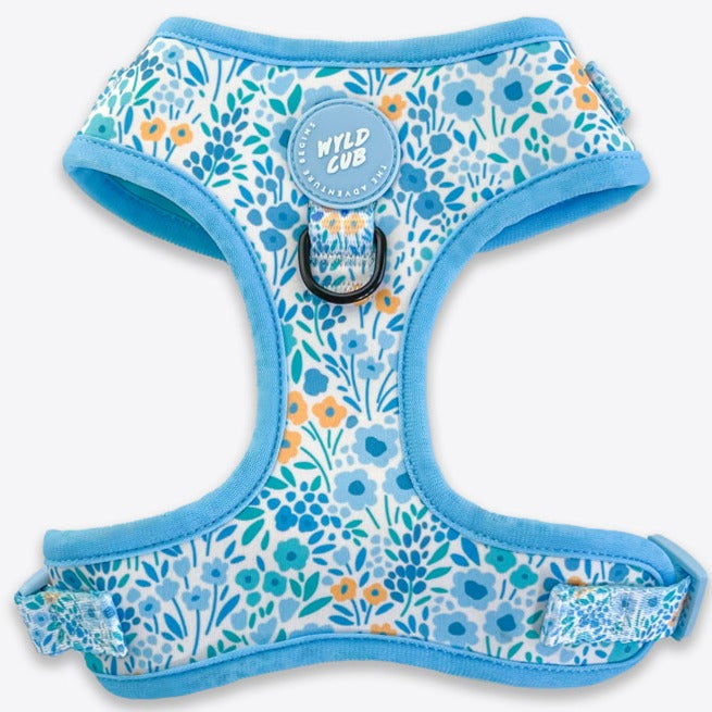 Cute boy dog harness outlet