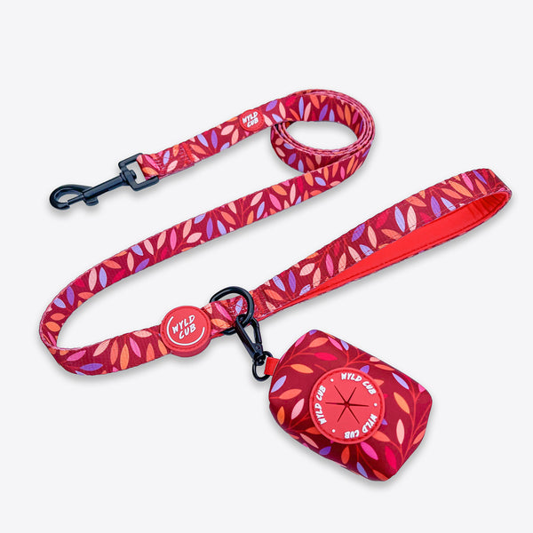 Dog Lead: Hampstead Fireside