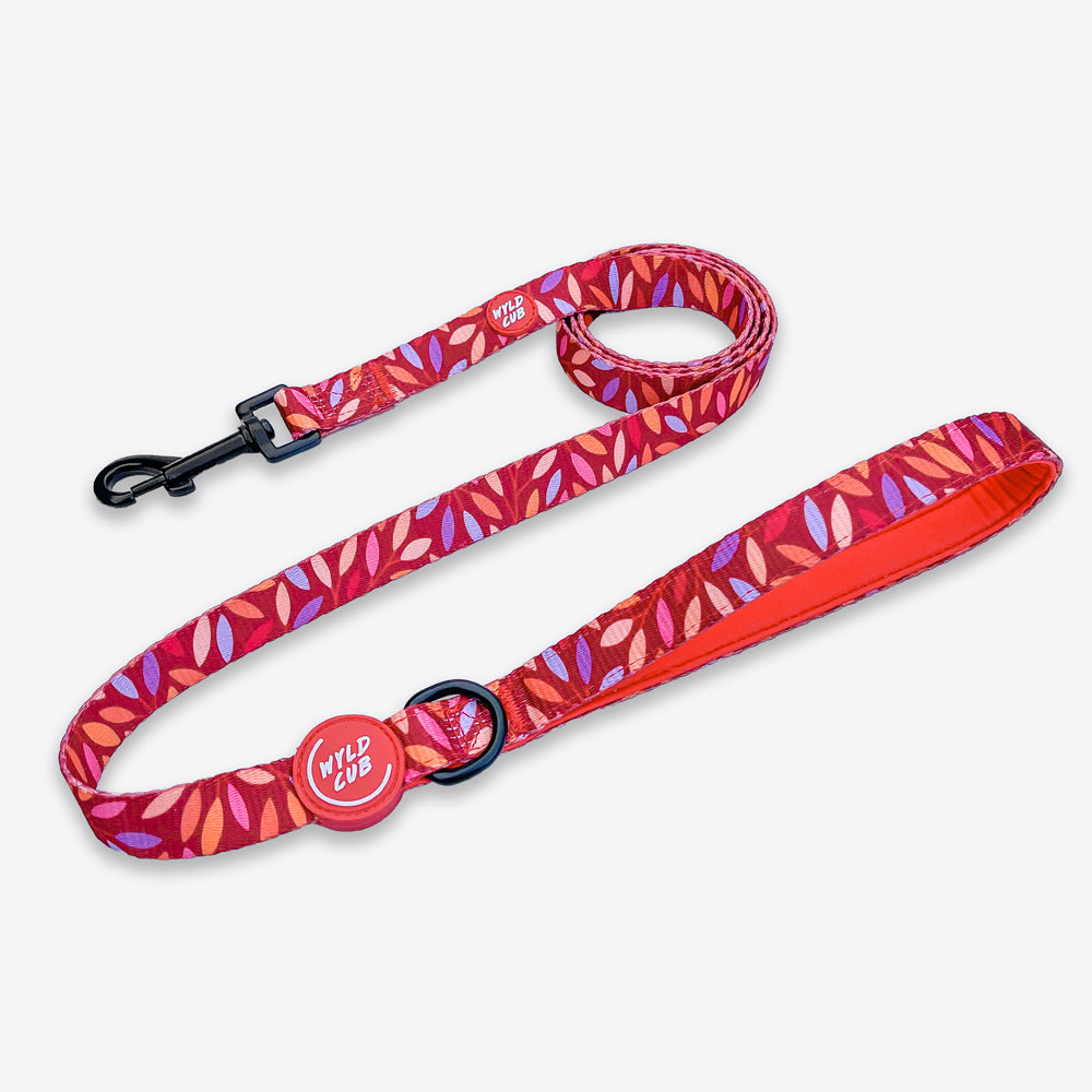 Lupine dog leash deals