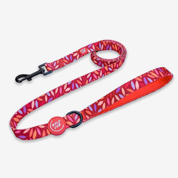 Dog Lead: Hampstead Fireside