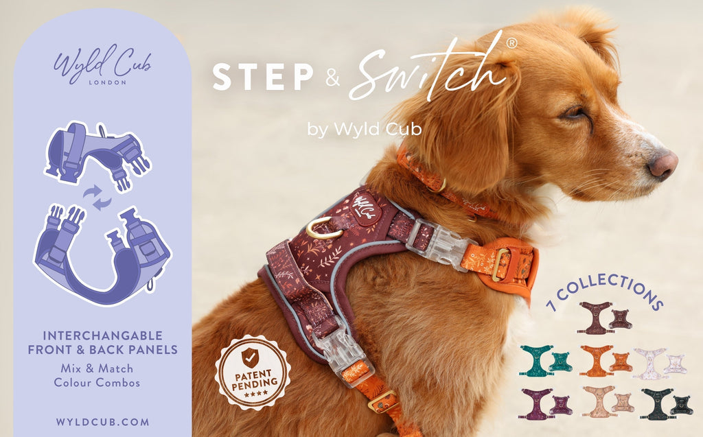 Introducing Step & Switch® – A New Era of Walk-Wear