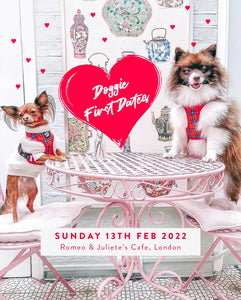 Valentines with your Dog: A Doggie Meet-up in London