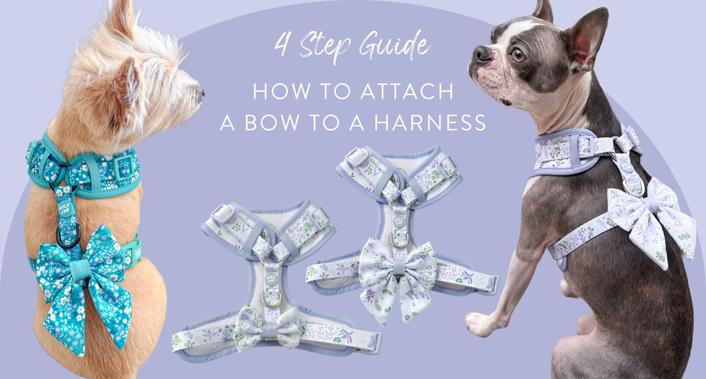 How to attach a Bow to a Dog Harness | 4 Step Guide