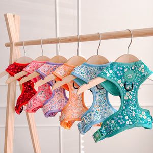 Colourful-dog-puppy-harnesses-wyld-cub-floral-green-blue-orange-pink-red-girl-boy