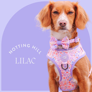 cute-cockapoo-dog-harness-lilac-pink-wyld-cub